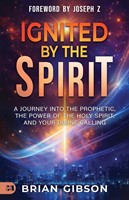 Ignited by the Spirit (Paperback)