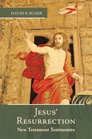 Jesus’ Resurrection (Hardback)