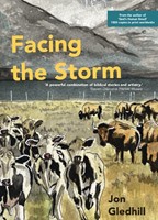 Facing the Storm (Paperback)