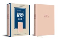 The Bible Recap 365-Day Chronological Study Bible (Imitation Leather)