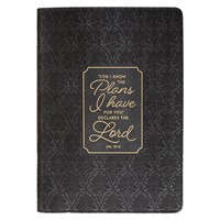 I Know the Plans Graphite Gray Classic Journal (Imitation Leather)