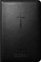 Santa Biblia Reina-Valera 1960 - Visual Con Mapas Mentales (Imitation Leather)