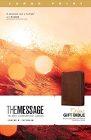 Message Deluxe Gift Zipper Bible, Large Print, Brown (Imitation Leather)