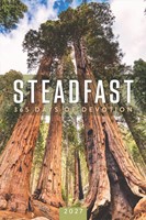 Steadfast 2027 (Paperback)