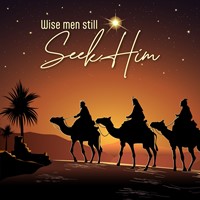 Wise Christmas Cards (Pack Of 10) (Cards)