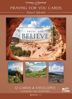 Nature's Splendour Boxed Cards (Pack of 12) (Cards)