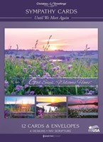 Until We Meet Again Boxed Cards (Pack of 12) (Cards)