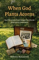 When God Plants Acorns (Paperback)
