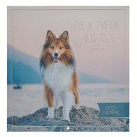 2027 Wall Calendar: Be Joyful Always (Calendar)