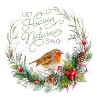 Compassion Charity Christmas Cards: Let Heaven And Nature Si (Cards)