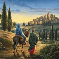 Compassion Charity Christmas Cards: Journey To Bethlehem (10 (Cards)