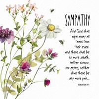 Daisy Copy Sympathy Card (Cards)