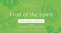 Fruit Of The Spirit Mini Soap Gift Set (Gift Set)