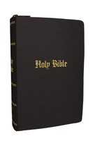 KJV Compact Large Print Bible (Imitation Leather)