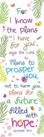 I Know The Plans Bookmark (Bookmark)