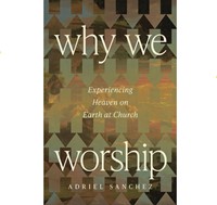 Why We Worship (Paperback)