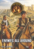Enemies All Around (Paperback)