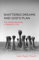 Shattered Dreams and God's Plan (Paperback)