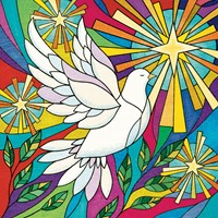 Tearfund - Stained Glass Dove - (Pack Of 10) (Cards)