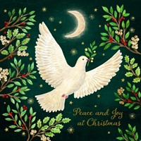 Tearfund - White Dove - (Pack Of 10) (Cards)