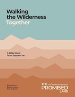 Walking the Wilderness Together (Paperback)