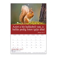Hungarian Words Of Life Calendar 2027 (Calendar)