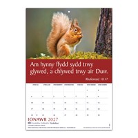 Welsh Words Of Life Calendar 2027 (Calendar)
