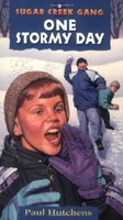 One Stormy Day (Paperback)