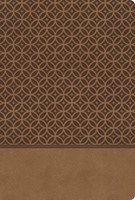 KJV Study Bible (Imitation Leather)
