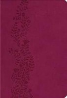 KJV Ultraslim Bible (Paperback)
