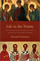 Life In The Trinity (Paperback)