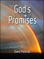 God's Little Book Of Promises (Paperback)