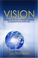 Vision (Paperback)