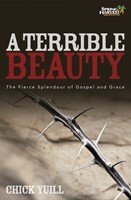 A Terrible Beauty (Paperback)