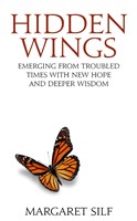 Hidden Wings (Paperback)