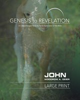 Genesis to Revelation: John Participant Book [Large Print]