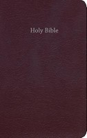 CEB Common English Bible Gift & Award Burgundy Red Letter Ed (Leather Binding)