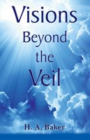 Visions Beyond The Veil (Paperback)