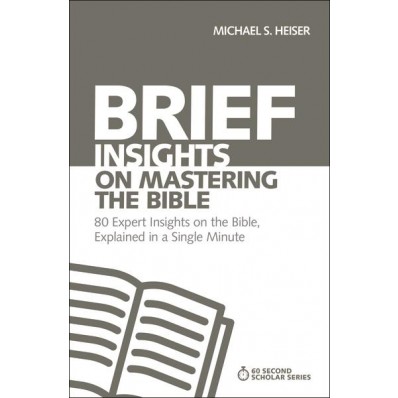 Brief Insights On Mastering The Bible