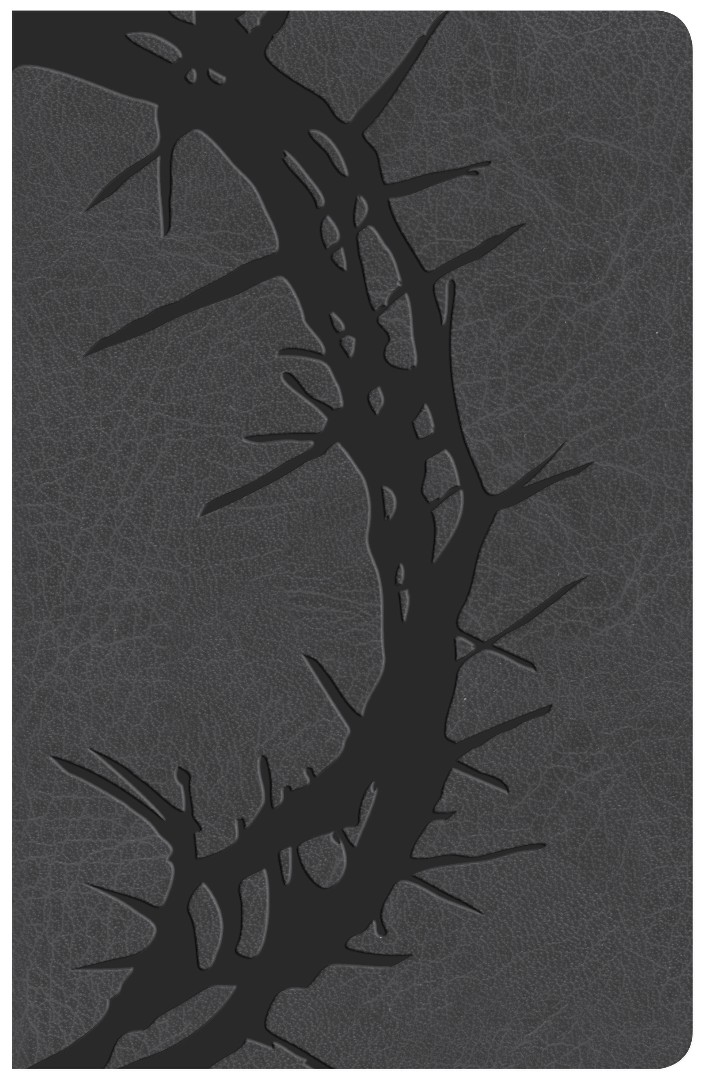 KJV Large Print Personal Size Reference Bible, Charcoal