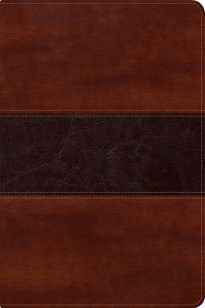 RVR 1960 Biblia del Pescador letra grande, caoba símil piel