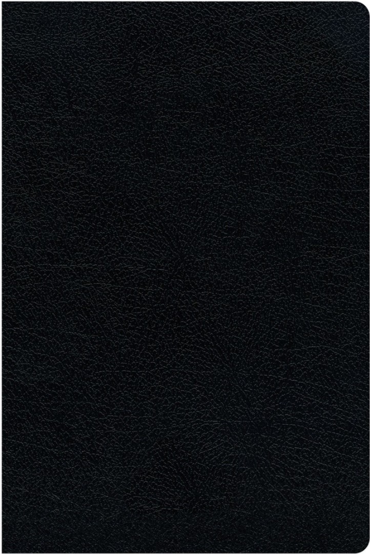 KJV Amplified Parallel Bible, Black, Large Print, Red Letter
