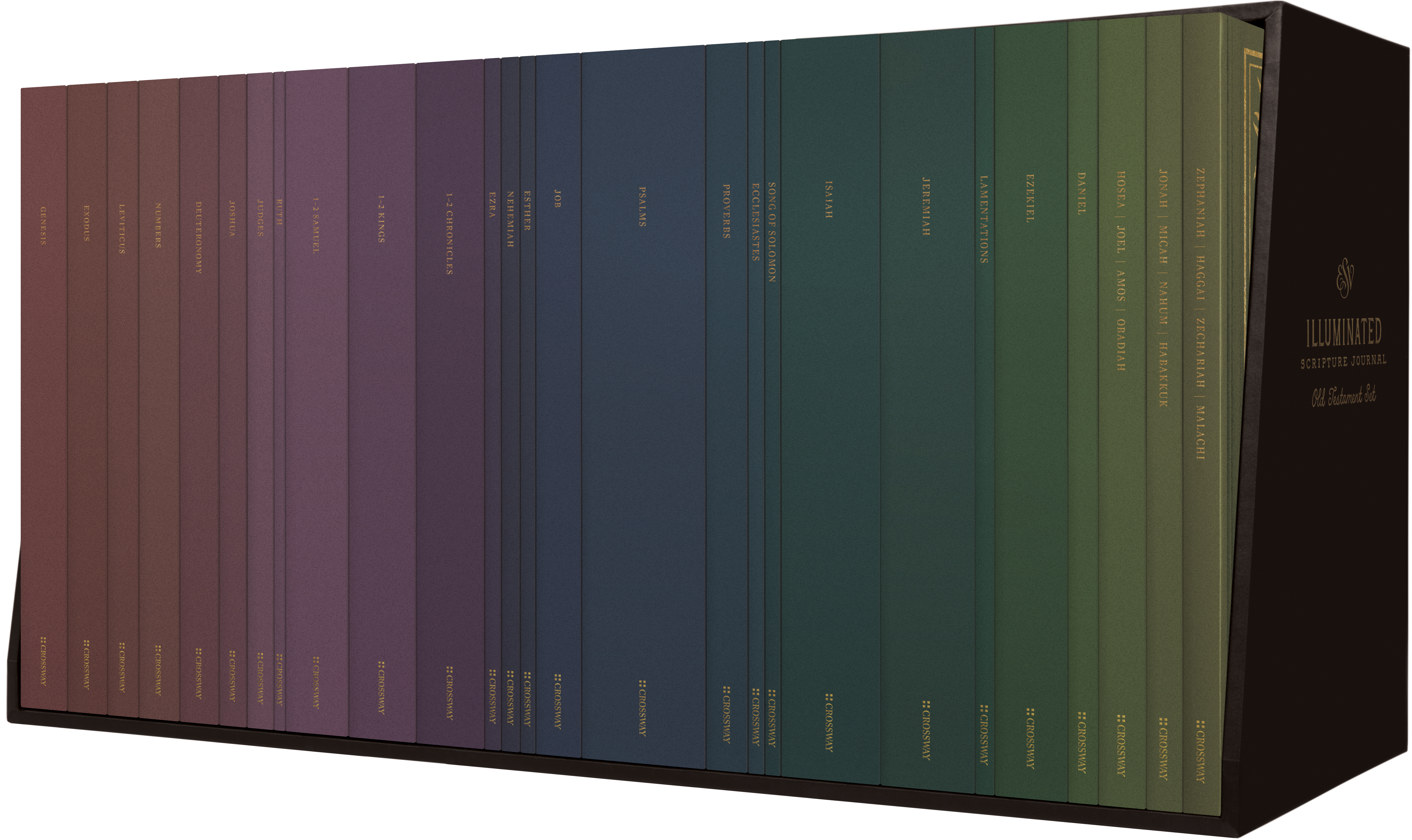 Legacy Standard Bible, Journaling Edition Paste-Down Forest