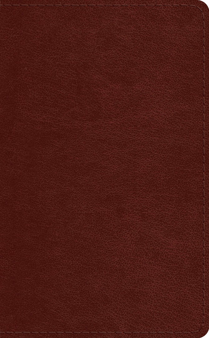 ESV Pocket Bible, Chestnut