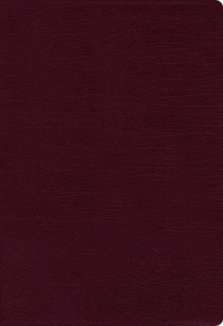 NASB Thinline Bible, Large Print, Burgundy, Red Letter Ed