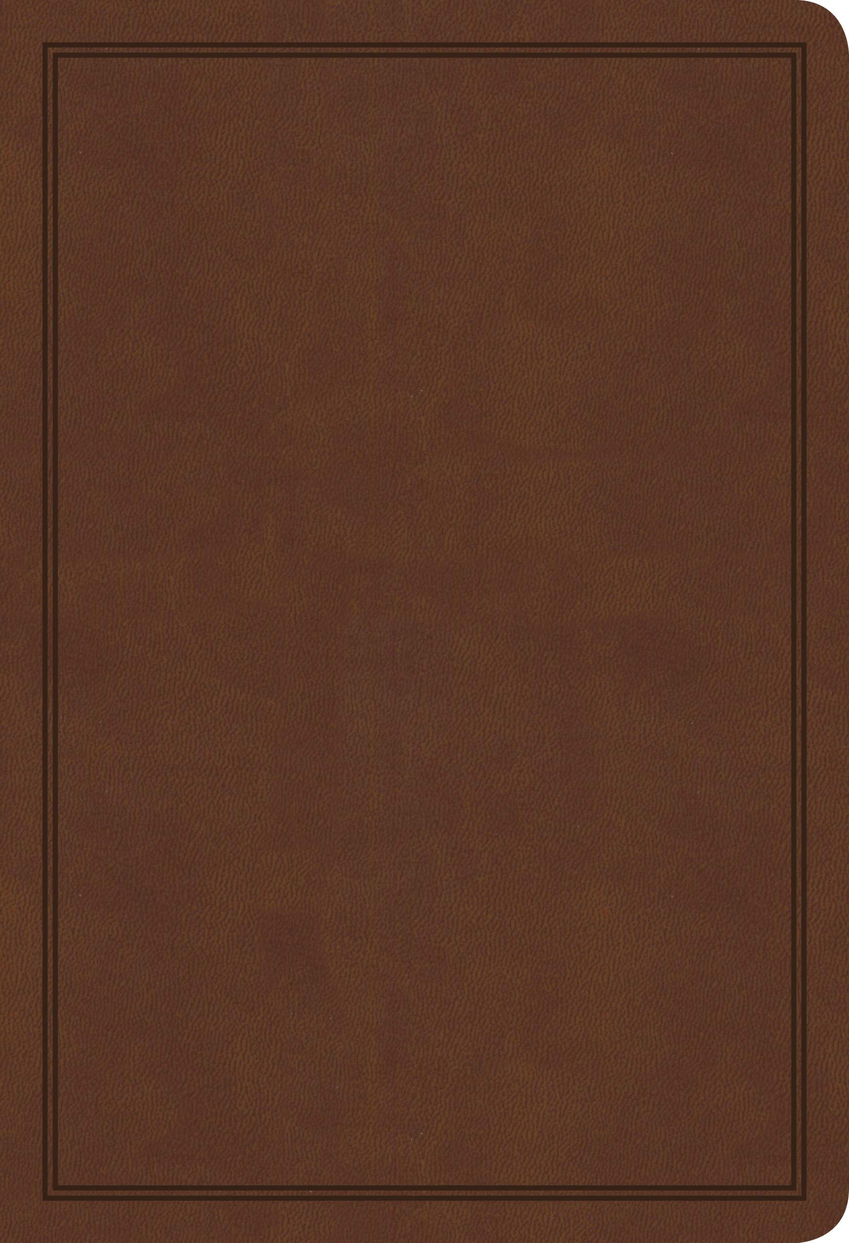 KJV Deluxe Gift Bible, Brown LeatherTouch