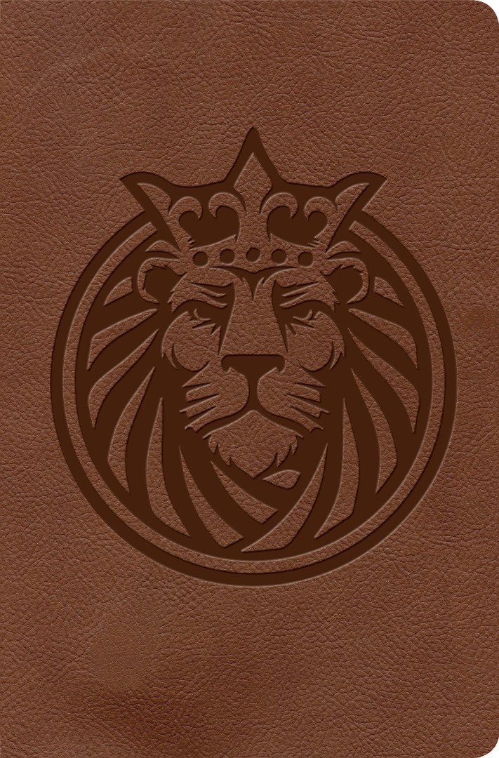 KJV Kids Bible, Lion LeatherTouch