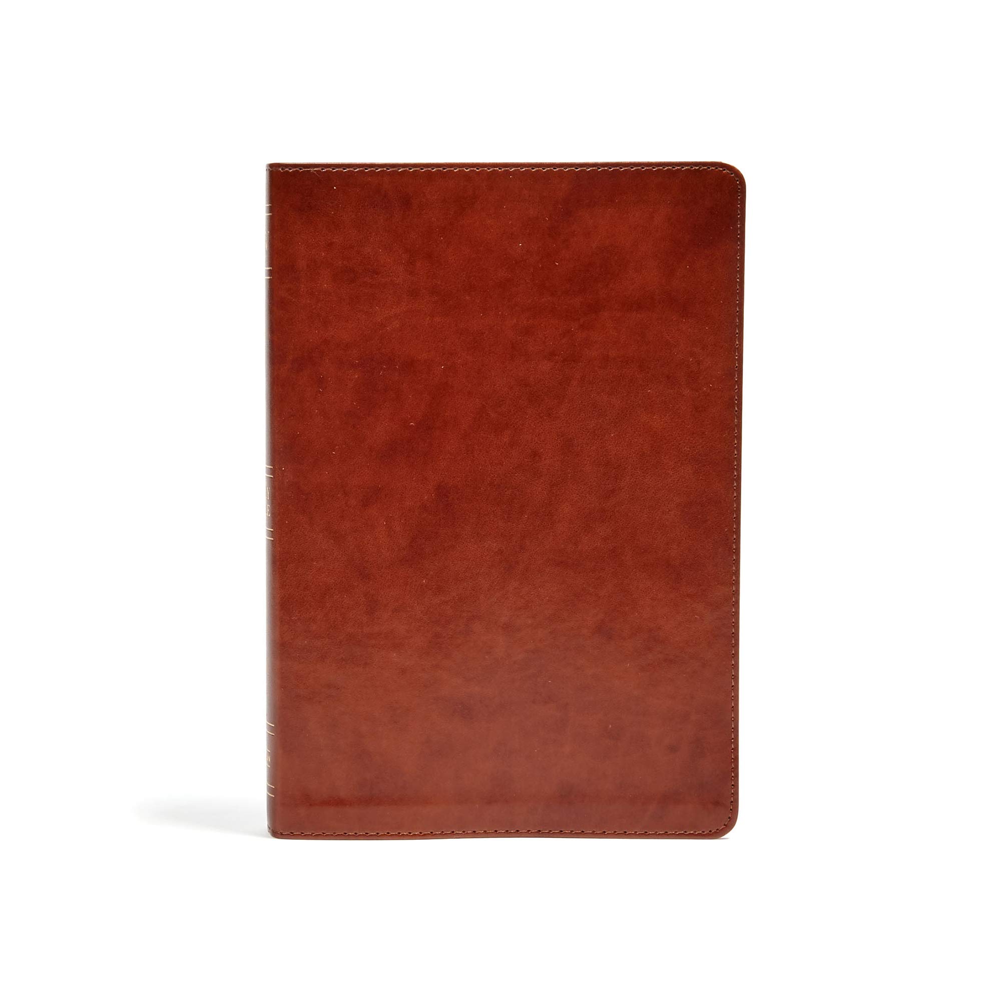 KJV Large Print Ultrathin Reference Bible, Black
