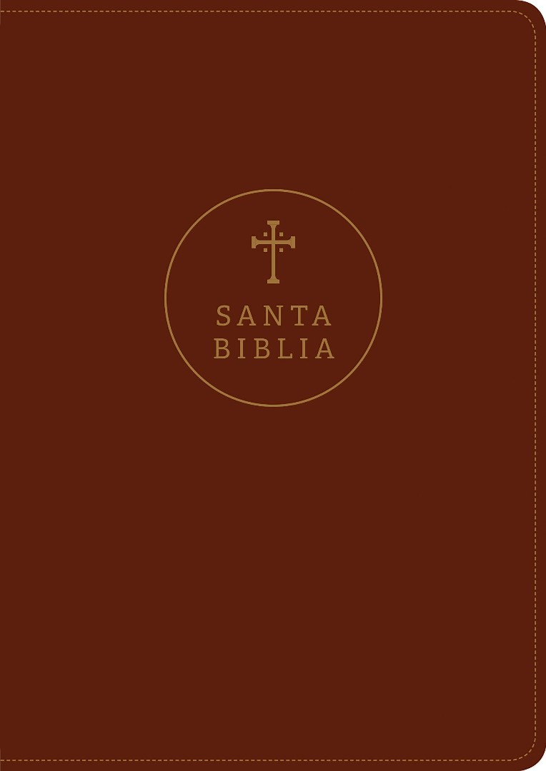Santa Biblia RVR60, Edición de referencia ultrafina, letra g
