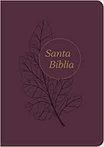 Santa Biblia RVR60, Edición de referencia ultrafina, letra g